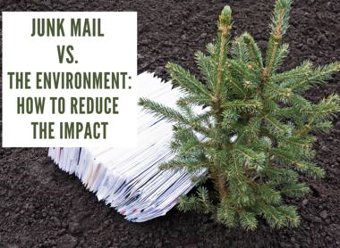 Junk Mail vs. The Environment: How to Reduce The Impact