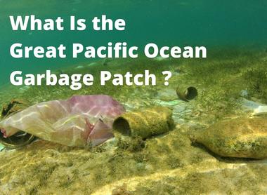 What Is the Great Pacific Ocean Garbage Patch?